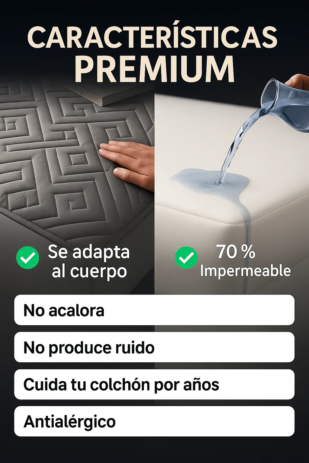Encabezado